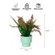 thumbnail image 3 of Planta Artificial Helecho 22x10 cm, 3 of 3