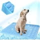 thumbnail image 1 of Esterilla refrescante para perros y gatos, manta de seda fría para camas, casetas, sofás, asientos de coche y suelos., 1 of 6