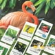 thumbnail image 4 of Montessori Animal Matching Card Cognitive Kids Educational Toy Animal Insect Farm Zoo Preschool Toddler Language Learning Card, 4 of 5