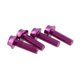 thumbnail image 1 of Tornillos para botellas de agua Wolf Tooth Precision, 4 unidades, color morado, 1 of 1