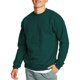 thumbnail image 1 of Sudadera Hanes EcoSmart para hombre Deep Forest Talla XL, 1 of 7