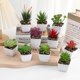 thumbnail image 2 of suxuMhao Suculentas de Follaje Artificial, 6 Pzas Planta Falsa de Interior con Maceta, Plantas Falsas Suculentas Artificiales, Verde/blanco/rojo, 2.1x1.8in, Plantas Artificiales para Decoración Del, 2 of 5
