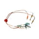 thumbnail image 1 of Conjunto piloto para el calentador de agua Reliance CO 9003472 LP Gas, 1 of 2
