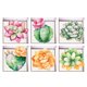 thumbnail image 3 of 6pcs 13x13cm efecto 3d antideslizante impermeable pegatina ba?era plantas suculentas, 3 of 5