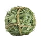 thumbnail image 1 of Conejo Masticar Juguetes Morder Moler Timothy Grass Ball Para Chinchillas Ardilla, 1 of 3