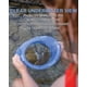 thumbnail image 4 of Cubo de observación para bucear bajo el agua REEF TOURER, azul, 4 of 9