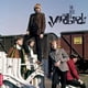 thumbnail image 1 of Álbum The Best Of The Yardbirds Import, 1 of 1
