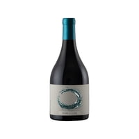 Vino Tinto Syrah 14° Botella 750 Ml Clos De Luz