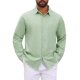 thumbnail image 1 of Camisas Texturizadas de Jacquard de Color Sólido con Botones y Mangas Largas para Hombre INSPIRE CHIC L Verde, 1 of 5