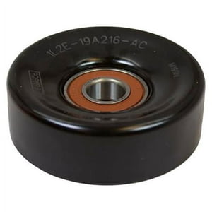 Motorcraft - Polea Guia Lisa Ford F-150 2002-2014 Original
