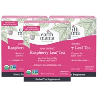 48 Bolsitas De Té Orgánicas Con Hojas De Frambuesa Roja Tea Earth Mama