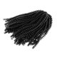 thumbnail image 4 of Hair Twist 8 Pulgadas Ganchillo Colores Spring Twist Trenzas 30 Hilos Estilo 1, 4 of 5