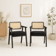 thumbnail image 3 of Pack de 2 Sitiales Acolchado Chandigarh Butaca Rattan - Negro, 3 of 7