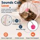 thumbnail image 4 of Túnel para Gato ASPCA Interactivo Plegable con Huellas de Pata, 4 of 7