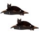 thumbnail image 1 of Estante de madera Cat Perch Arf Pets montado en la pared, paquete de 2, 1 of 6