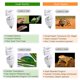 thumbnail image 3 of Bombilla UVB ReptiKing 24W 10.0 (paquete de 2) para reptiles del desierto, 3 of 6