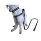 thumbnail image 2 of Correa, Arnés Y Collar Para Perros Pequeños Talla S, 2 of 3