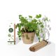 thumbnail image 5 of Lápices Sprout con funda de madera Teacher's Edition HB, paquete de 32, 5 of 8