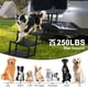 thumbnail image 3 of Escaleras para perros PetrUna, extra anchas, 5 peldaños para perros grandes, 250 libras, 3 of 7
