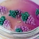 thumbnail image 3 of Vela Aromática  Fragancia Uva Decorativa Zen Aromas, 3 of 9