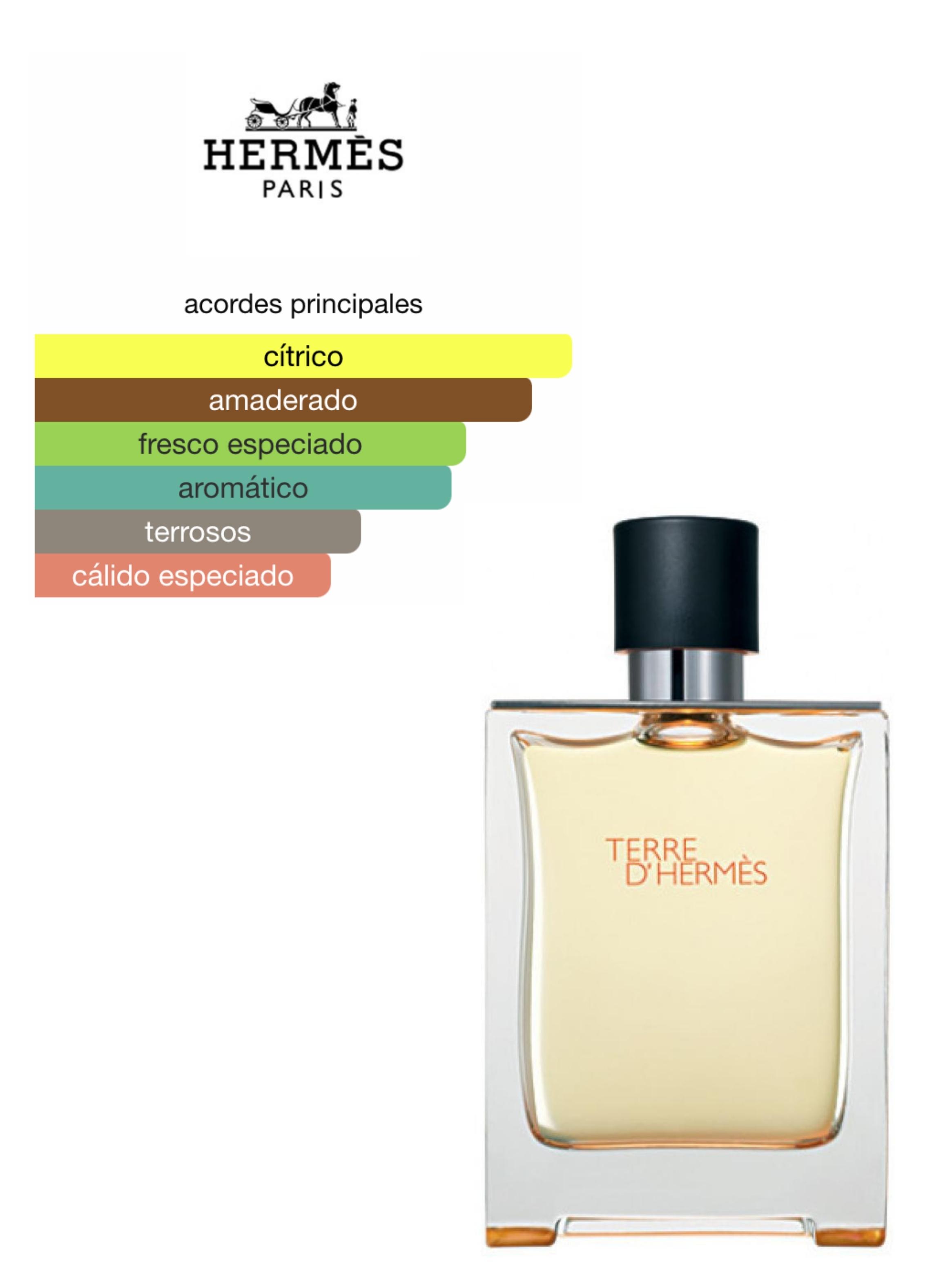 Terre De Hermes - Men Edt 100Ml