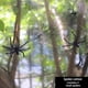 thumbnail image 1 of Set, Halloween Decorations Artificial Spider Web Super Stretch Cobwebs With Fake Spiders Scary Party Scene Decor Horror House Props, Halloween Decor, Halloween Supplies, 1 of 3