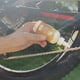 thumbnail image 2 of Lubricante De Cadena Bike Lube | Wax 4 Oz (118 Ml), 2 of 3