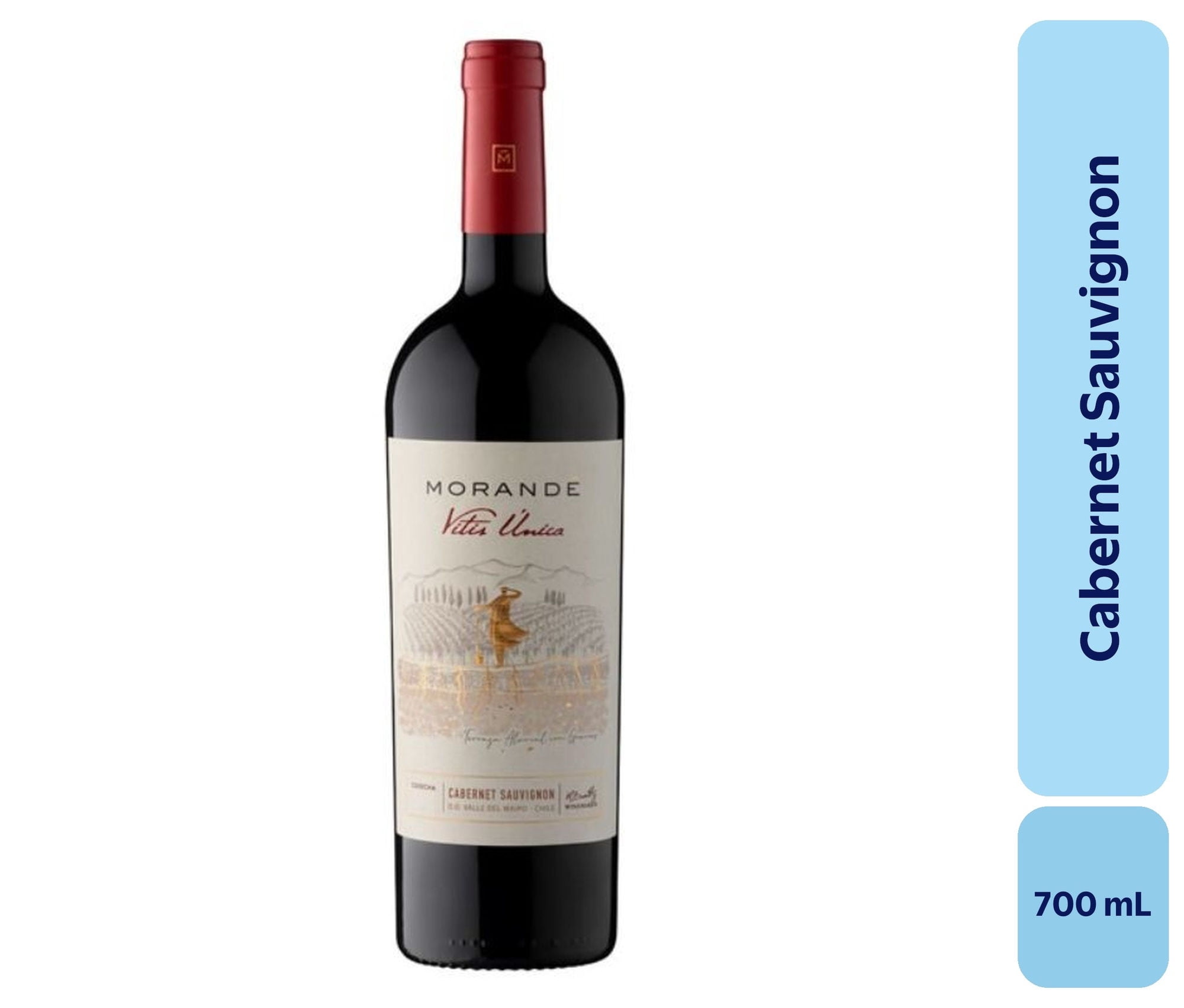 Morandé - Vino Tinto Cabernet Sauvignon 120 Botella