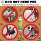 thumbnail image 2 of Spray para Perros OAIEGSD 240 ml – Ayuda contra Marcado y Accidentes, 2 of 7