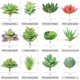 thumbnail image 2 of Suculentas Artificiales HappyHapi 12 Unidades, 2 of 3