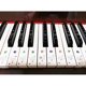 thumbnail image 2 of Stickers para Teclado de Piano COYAHO de 49 Teclas Multicolor, 2 of 3