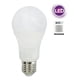 thumbnail image 4 of Amp. Led Megabright A60 ClaSíca 13w/6400 Color De La Luz Luz Fria, 4 of 5
