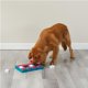 thumbnail image 2 of Juguete para perros Outward Hound Nina Ottosson Dog Brick Level 2 Blue, 2 of 8