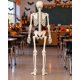 thumbnail image 4 of Adorno Esqueleto Decorativo Halloween Articulado 165 cm, 4 of 8