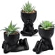 thumbnail image 1 of Suculentas Artificiales 3pcs Negro 13cm, 1 of 3