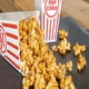 thumbnail image 5 of Recipientes para palomitas Novelty Place Classic, rojo y blanco, paquete de 4, 5 of 7