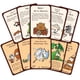 thumbnail image 3 of Juego de cartas Steve Jackson Games Munchkin 2 - Unnatural Axe, 3 of 3