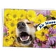 thumbnail image 5 of Tarjeta de cumpleaños con Corgi de Glory To Dog 13 cm × 18 cm, 5 of 7