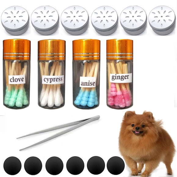 Kit Inicial De Olfato Para Perros Set De 4 Frascos