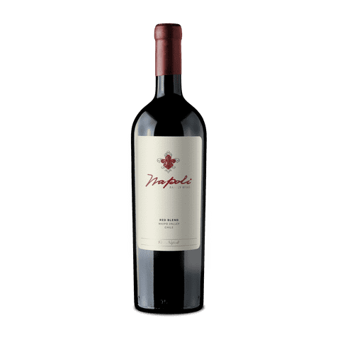 Napoli - Vino Family Wine Ensamblaje 2019 750 Ml