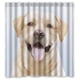 thumbnail image 1 of Cortina de ducha con diseño de perro labrador, divertida y encantadora, con ganchos, tamaño 66 x 72 pulgadas, 1 of 3