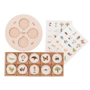 Bothyi - Niños Montessori Ciclo De Vida Bandeja Educativa Proyecto Escolar Tarjetas Flash