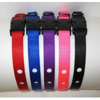 Correa De Repuesto Grain Valley Para Collares Petsafe, Color Azul