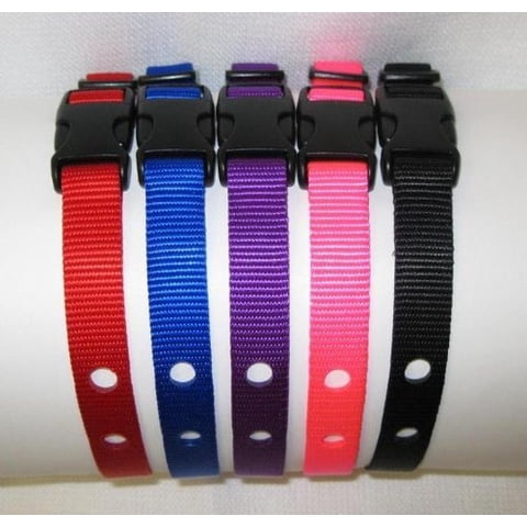 Correa De Repuesto Grain Valley Para Collares Petsafe, Color Azul