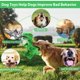thumbnail image 4 of Dinosaurio homounter de peluche para perros grandes con chirriador, 4 of 7
