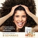 thumbnail image 4 of Shampoo Pantene Anticaída+ Biotinamina B3 Para Cabello Débil, 300 ml, 4 of 5