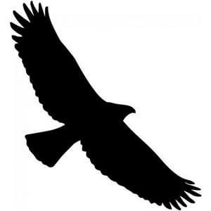 Rienda Libre Graphics - Decomural Flying Hawk Bird Ws-33491