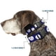 thumbnail image 2 of Collar para Perro Buckle-Down con Hebilla de Clip y Diseño de Pelotas de Béisbol Azul Mediano, 2 of 8