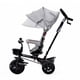 thumbnail image 3 of Triciclo 3 en 1 Aveo Gris, 3 of 3