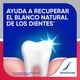 thumbnail image 3 of Pasta Dental Sensodyne Sensibilidad y Encías Blanqueadoras, 100 g, 3 of 9